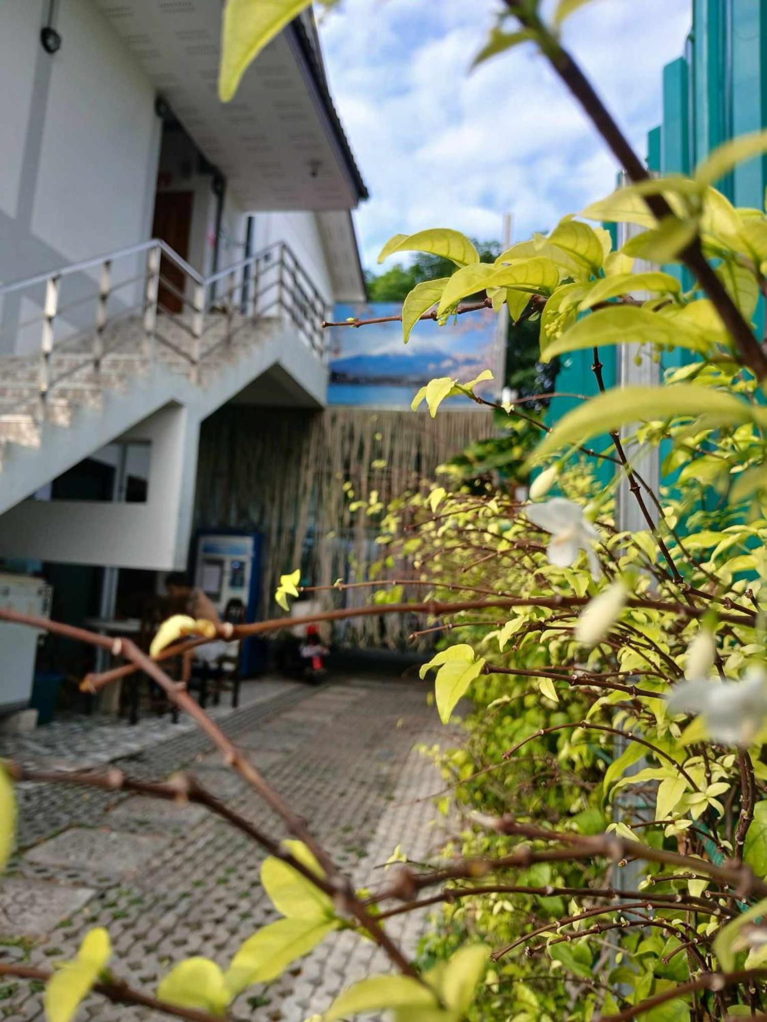 Hostel Sakura House Chiang Mai Zewnętrze zdjęcie